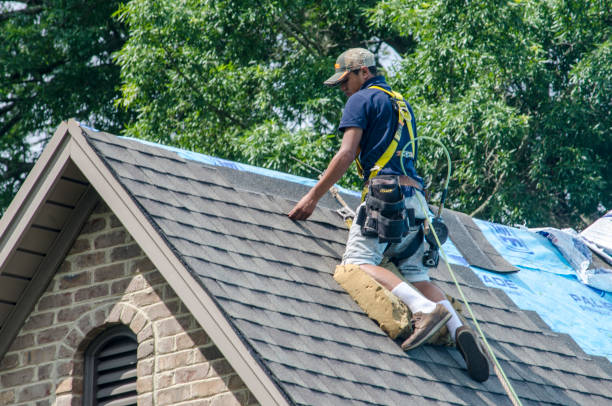 Best Roof Gutter Cleaning  in Carrollton, KY